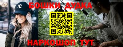 молекула духа Кандалакша